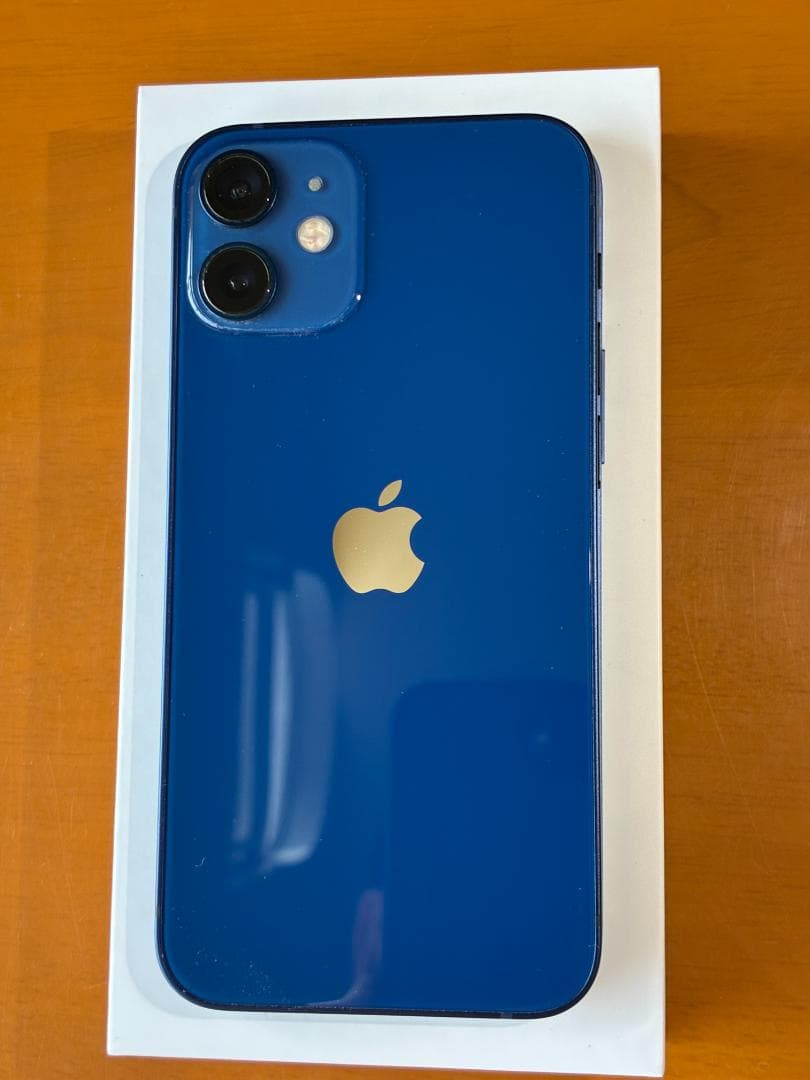 ＜美品＞iPhone 12mini ブルー 外箱、充電ケーブル、おまけ新品ケース