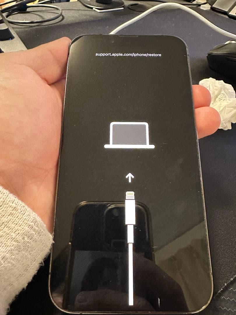 Apple iPhone 13 Pro グラファイト 本体ジャンク