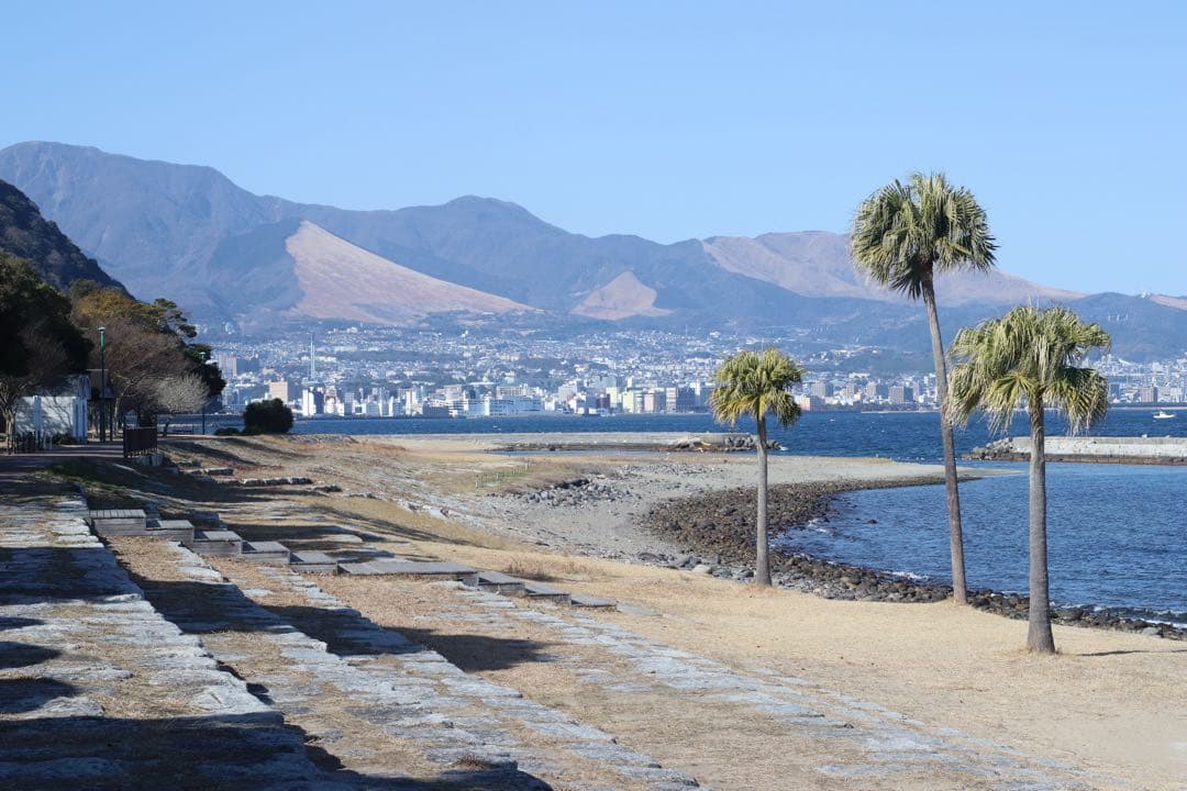 ★ OLYMPUS OM-2N + 標準レンズ 50mm