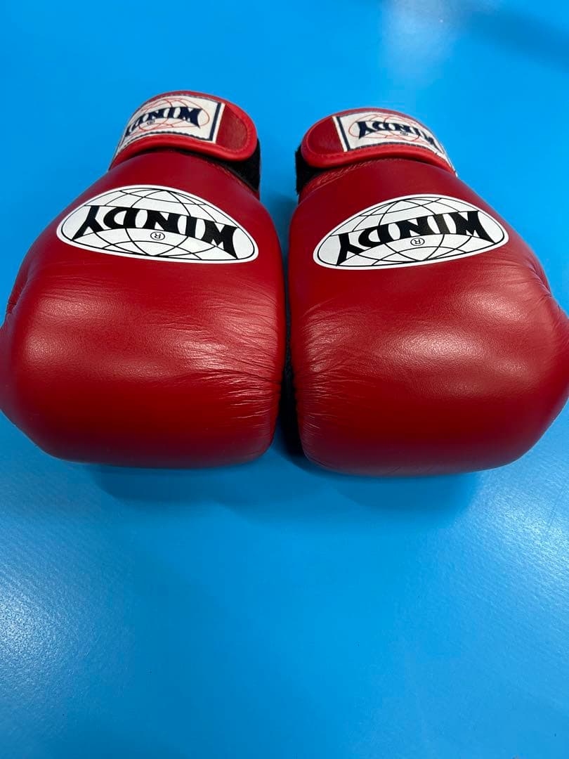 WINDY ボクシンググローブ 10 oz 赤