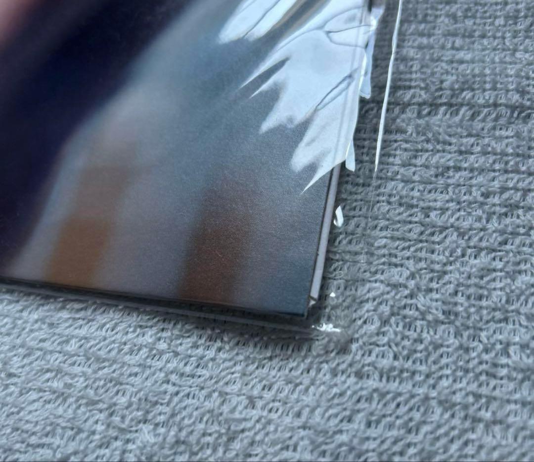 寺尾紗穂　レコード　廃盤