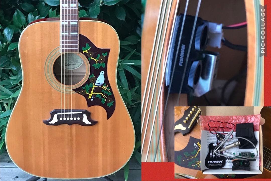 Epiphone DOVE NA Fishman搭載