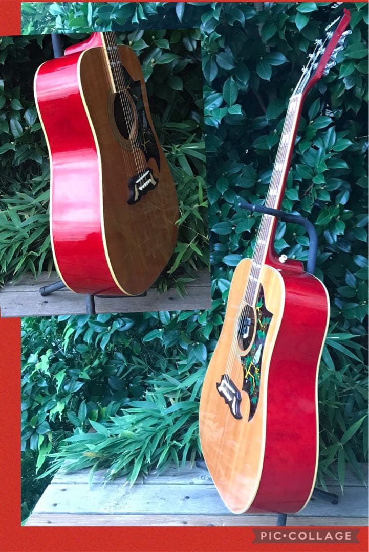 Epiphone DOVE NA Fishman搭載