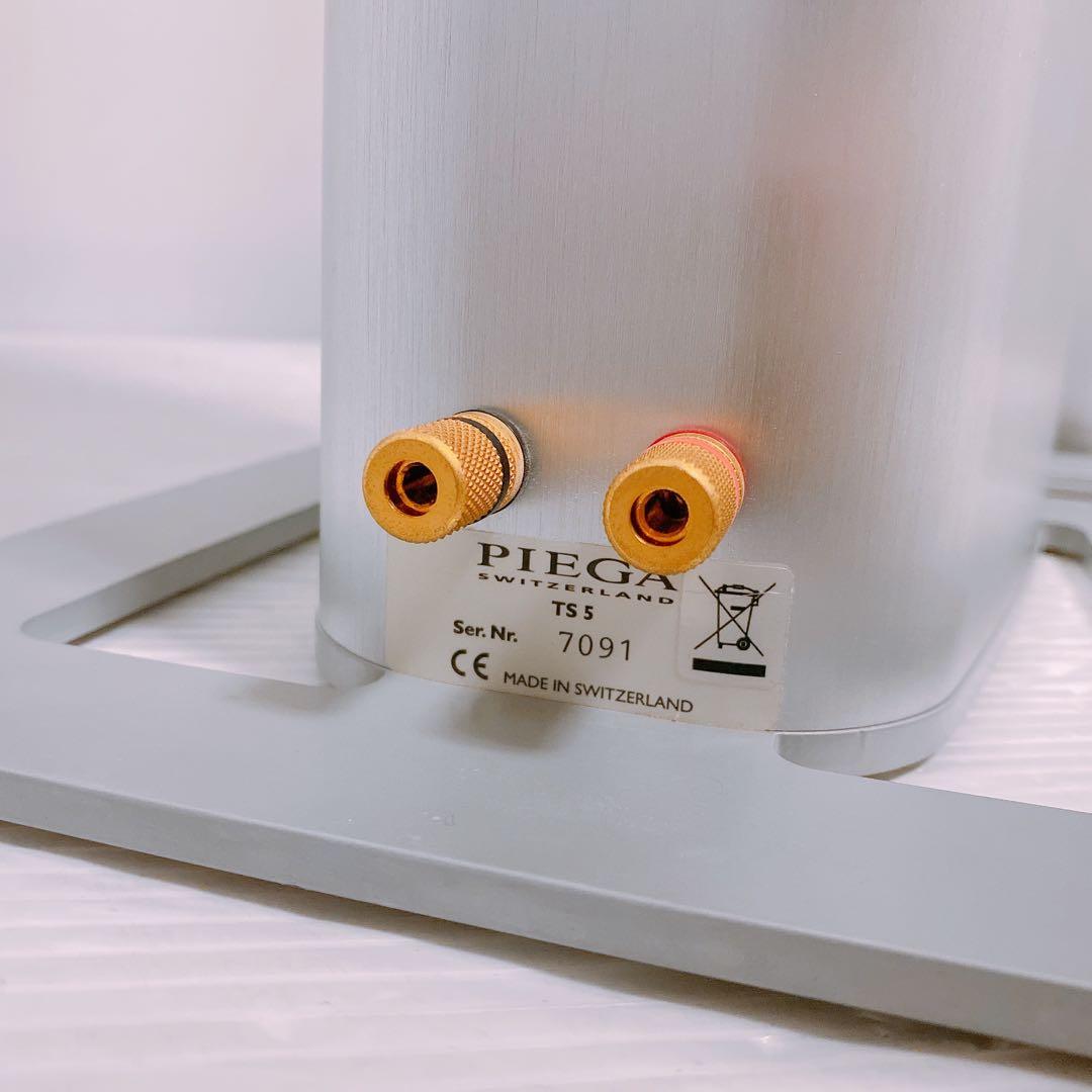 Piega TS5 スイス製トールボーイスピーカー