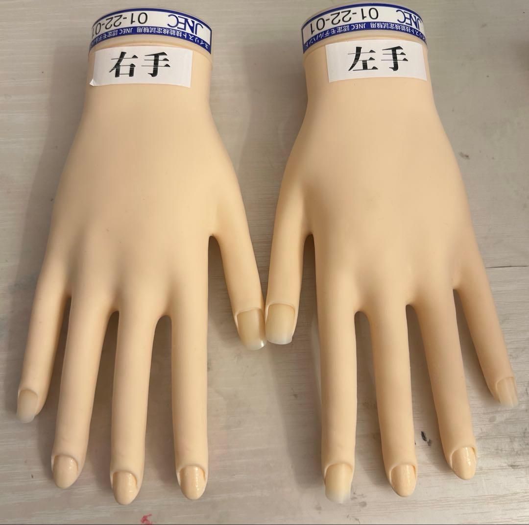 JNEC認定モデルハンド(骨折なし)