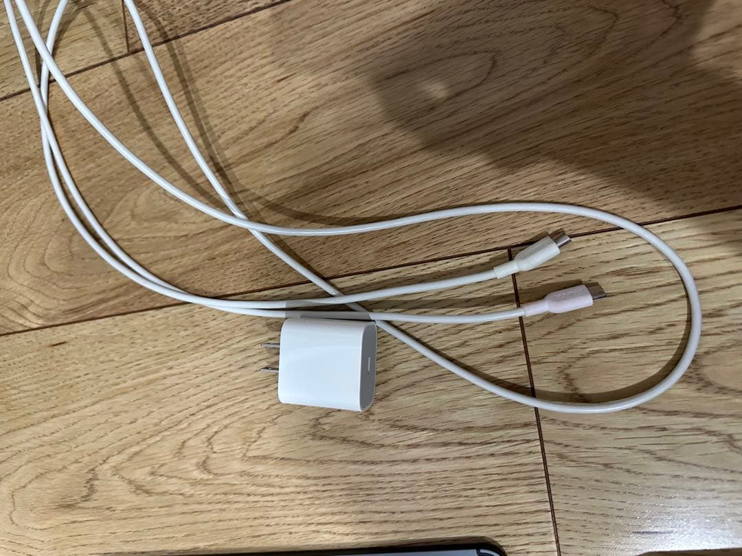 i Pad Pro 第1世代 11インチ+ Apple Pencil