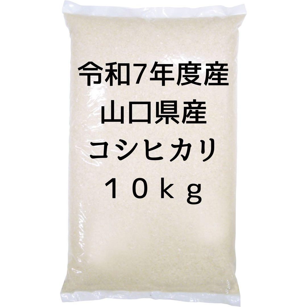 令和7年度産　山口県産（新米）10kgコシヒカリ　白米/玄米　農家直送　送料無料
