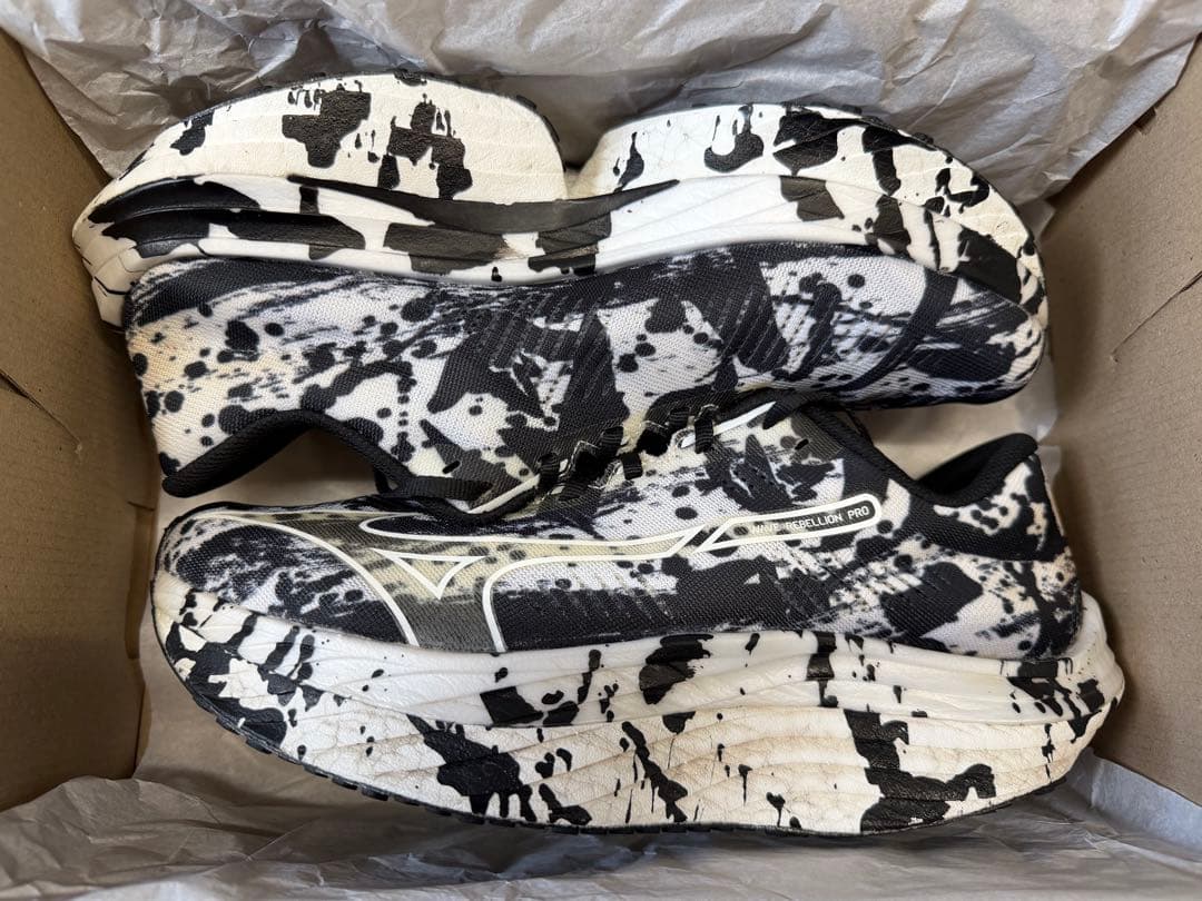 ミズノ ウエーブリベリオンプロ 27cm 書き初めカラー