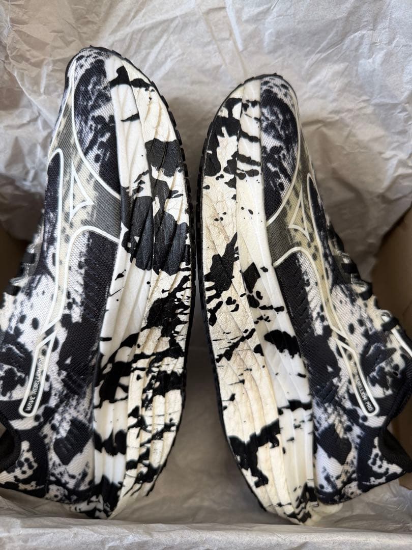 ミズノ ウエーブリベリオンプロ 27cm 書き初めカラー