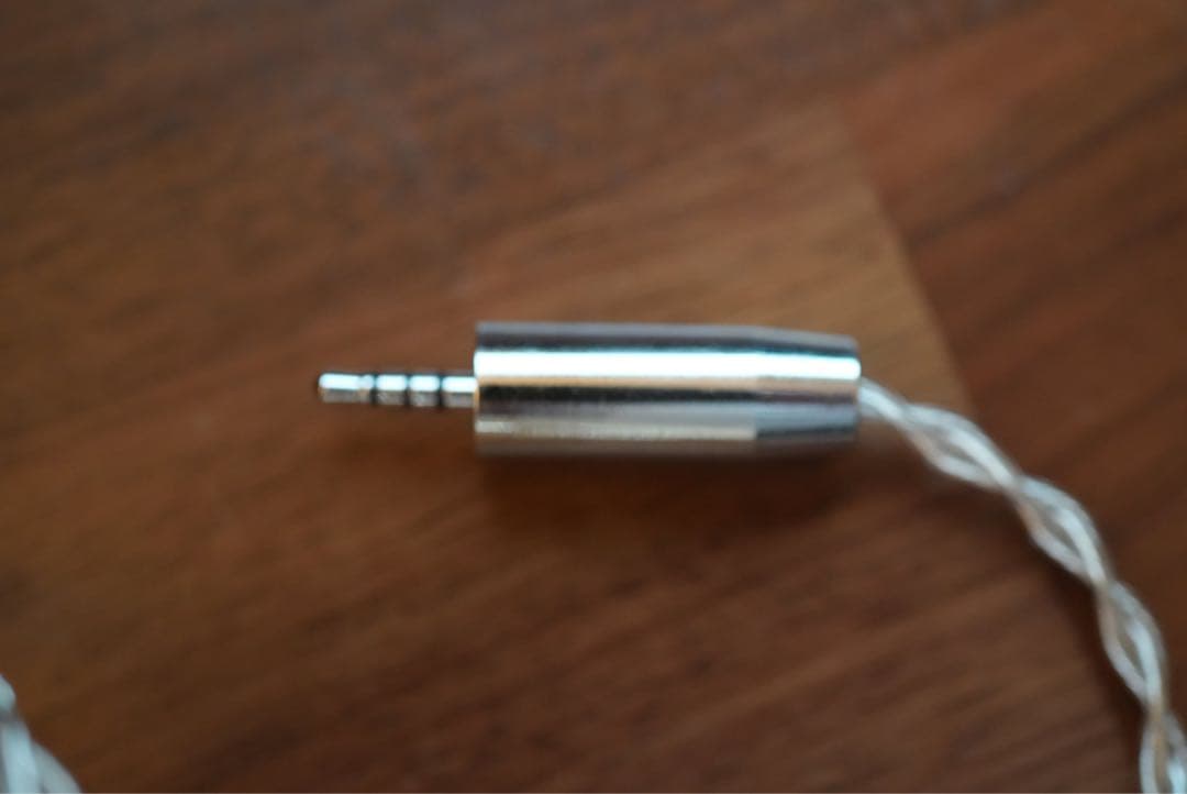 【ミちゃん様】VISION EARS Erlkönig 4.4変換付き