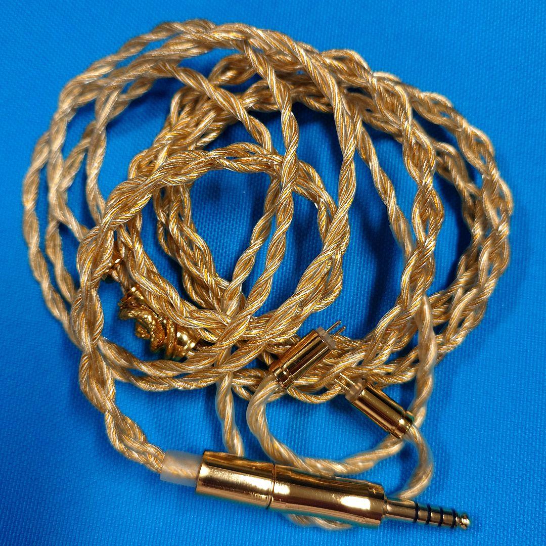 【美品】EarAcoustic Audio VSA-LTD 有線イヤホン