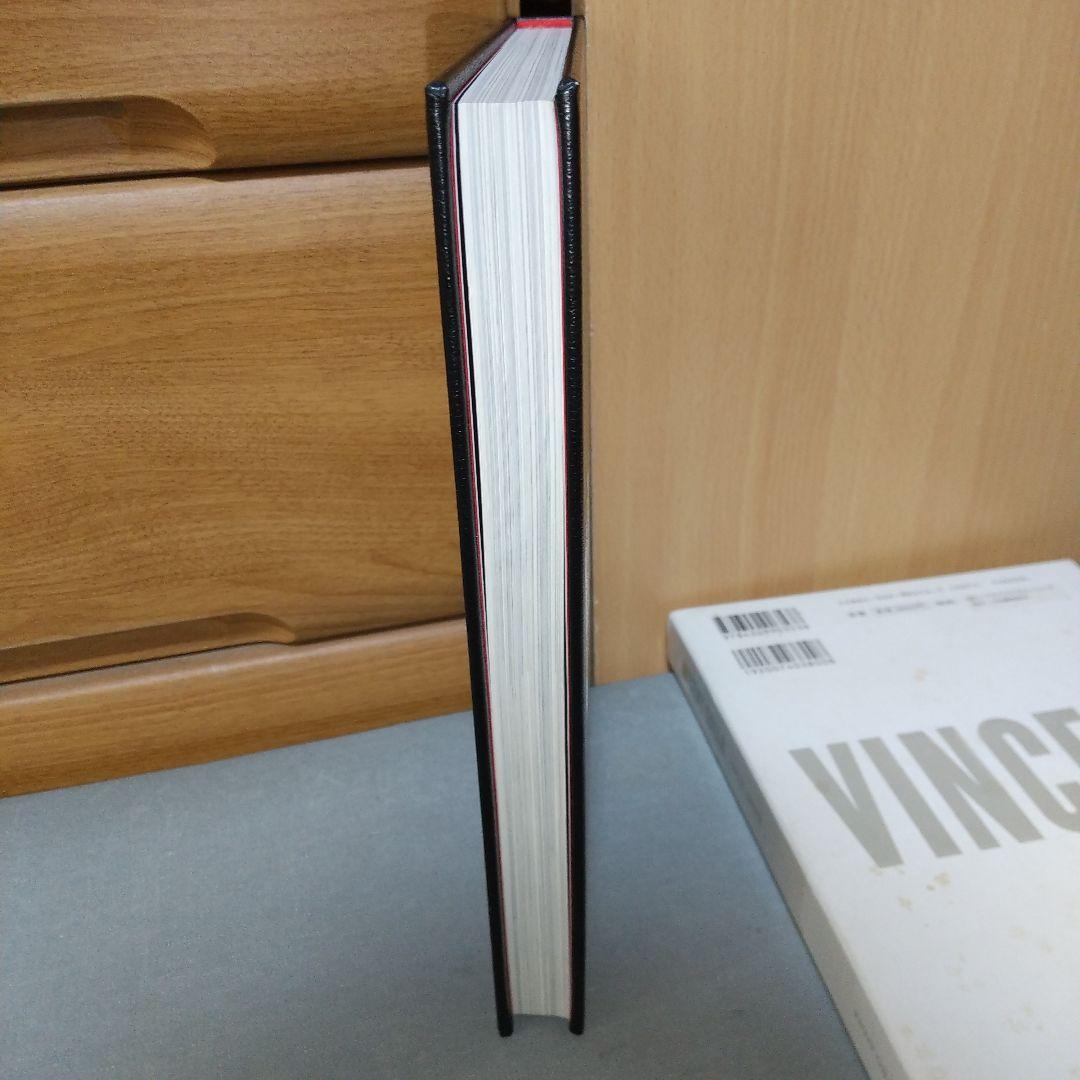 Vincent Gallo 1962-1999 ヴィンセント•ギャロ e3