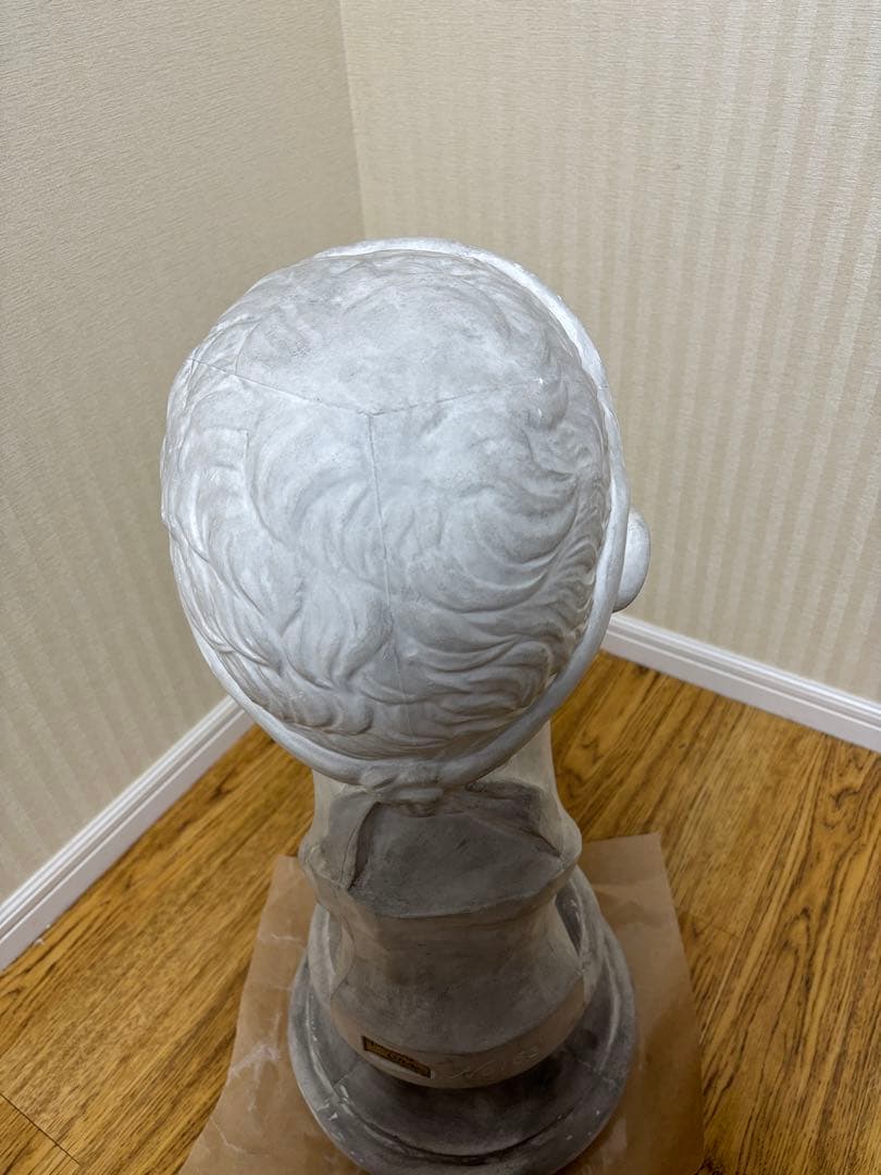 石膏像 アンティオコス三世　首像　岡石膏像製作所　YOKOHAMA OKA