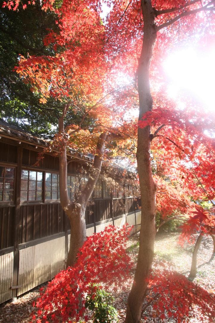 【訳あり】Canon EF 20-35mm F2.8 L ズームレンズ