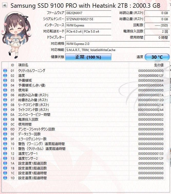 Samsung 9100 PRO M.2 SSD 2TB PCIe 5.0 ヒー