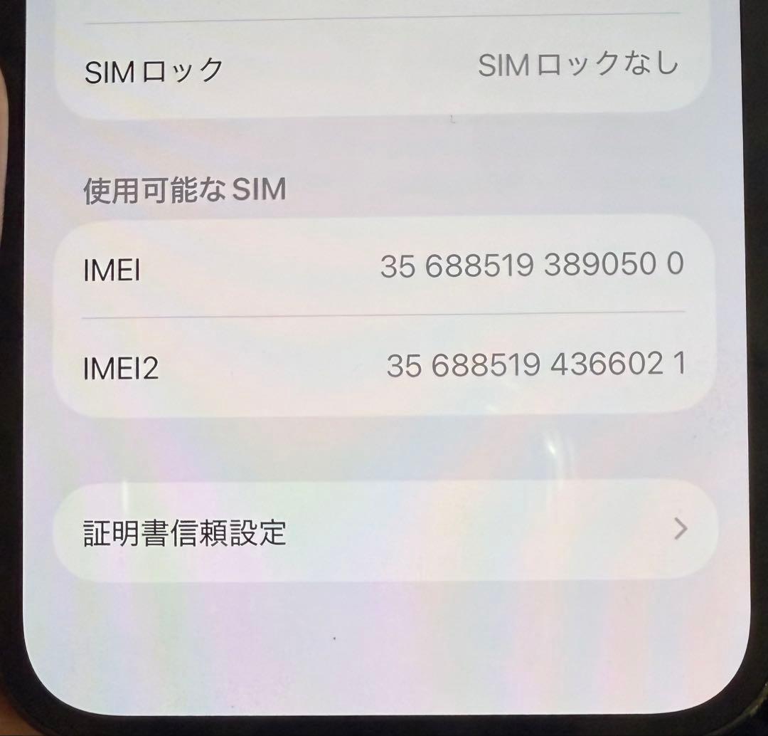 iPhone13Pro 256GB グラファイト