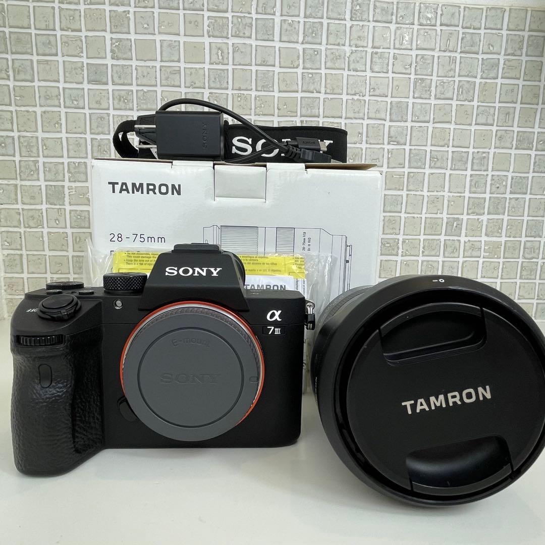 撮影枚数11877枚　SONY α7III + TAMRON 28-75mm