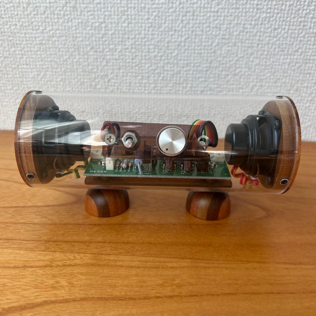 【希少／訳あり】エムズシステム 波動　スピーカー　スケルトン　限定