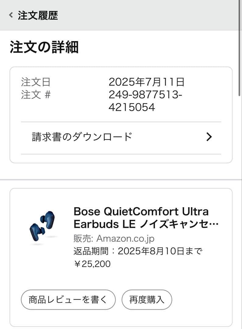 Bose QuietComfort Ultra Earbuds LE 【美品】