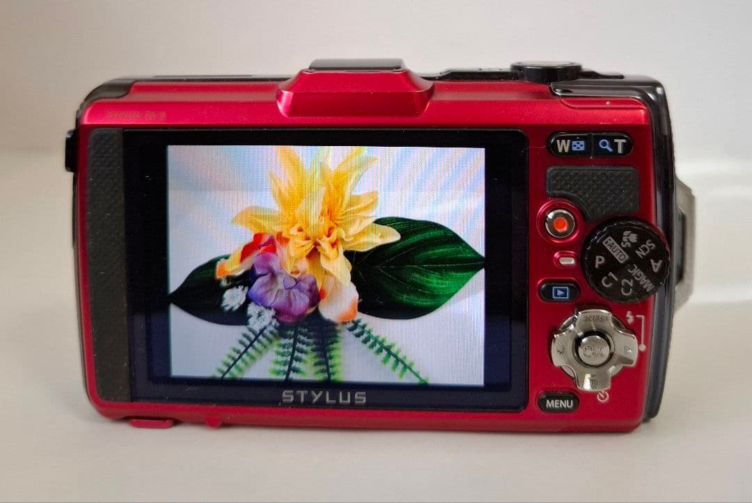 [極美品] 防水 オリンパス OlympusTough TG-2 コンデジ