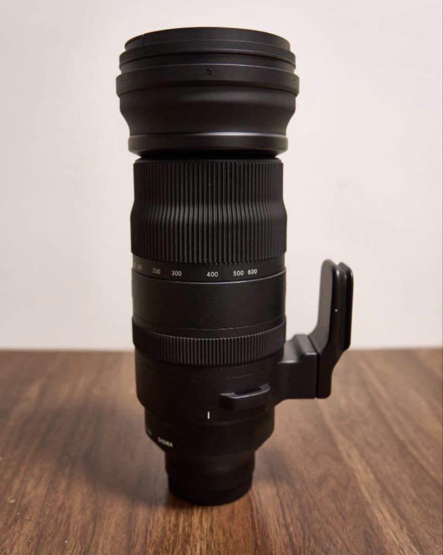 150-600mm F5-6.3 DG DN OS | Sports ソニー