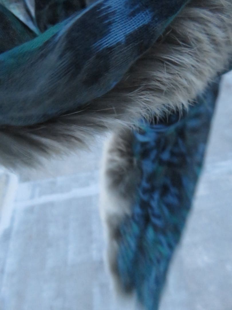 5351POUR LES HOMMES ヒョウ柄 ストール 豹 青アーカイブ