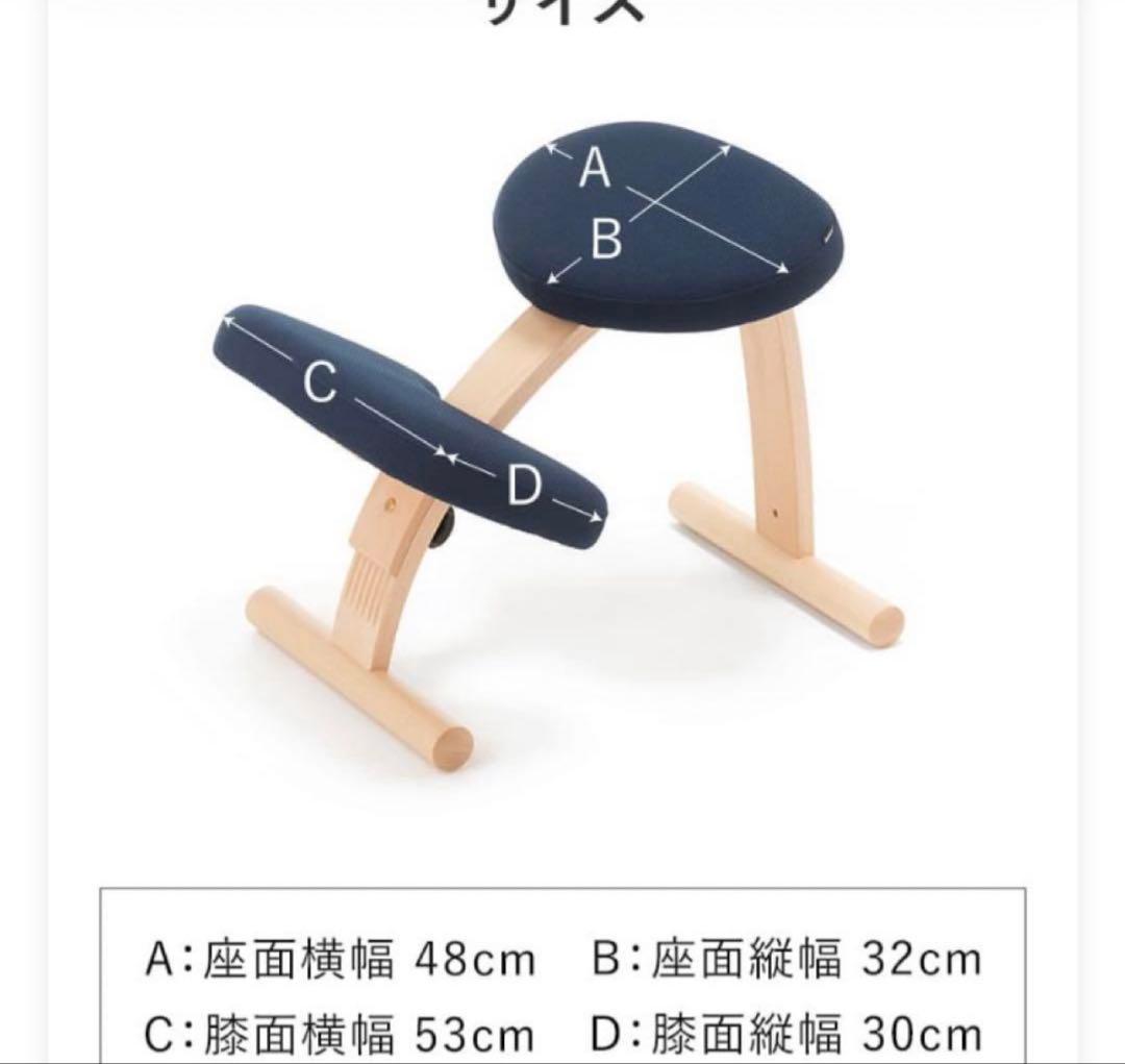 バランスラボ バランスイージー ネイビー ショートフレーム
