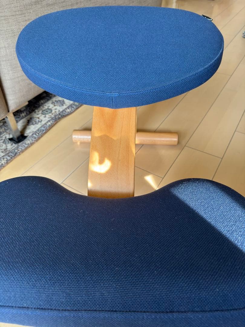 バランスラボ バランスイージー ネイビー ショートフレーム