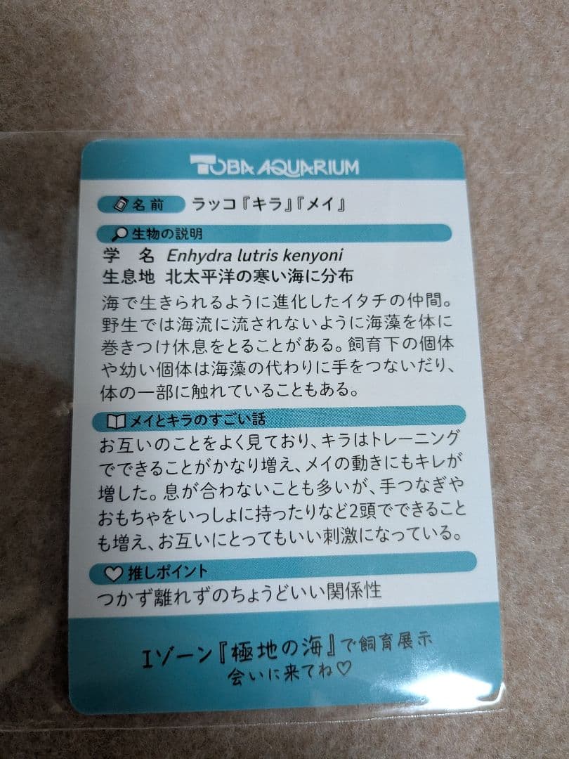 鳥羽水族館　70周年記念　コレクションカード　レアカード　メイ　キラ