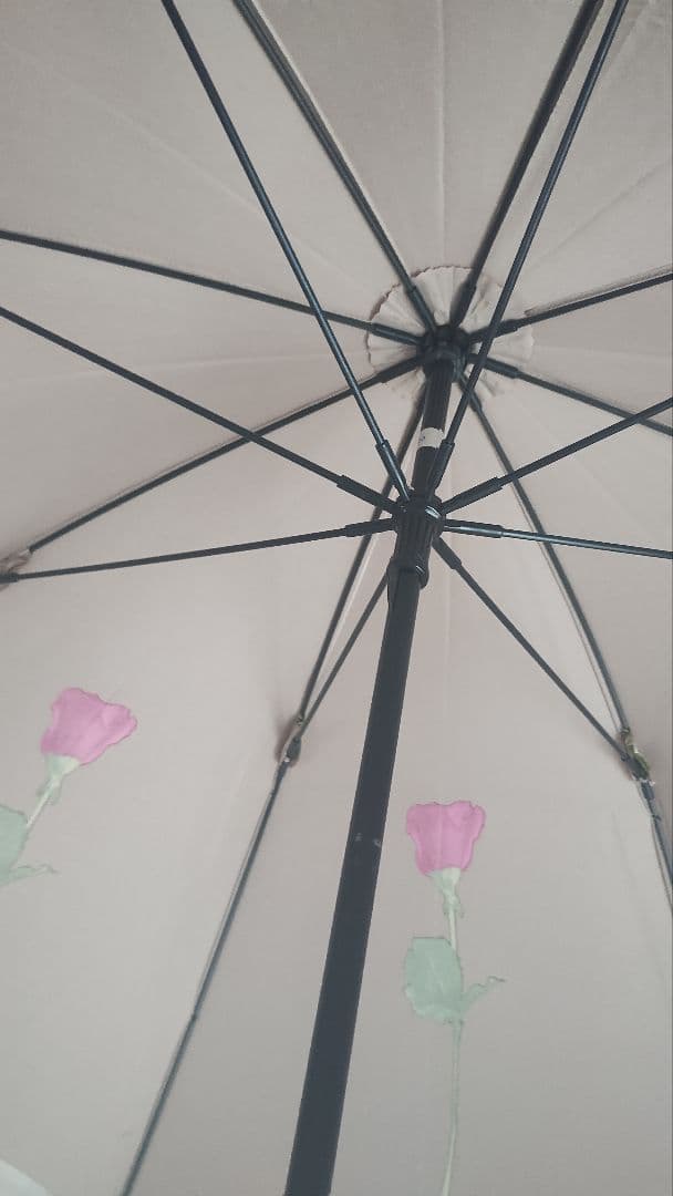 CHARLES JOURDAN バラプリント長傘