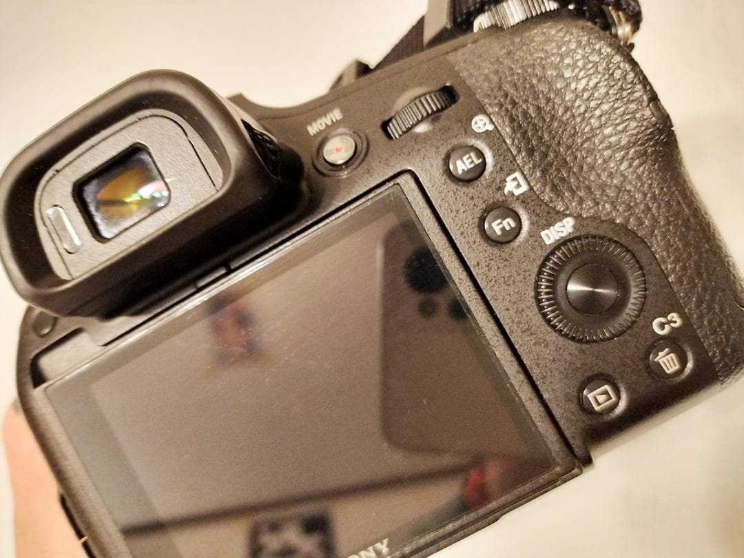 SONY RX10M4 (DSC-RX10M4)本体・ 純正革ケース