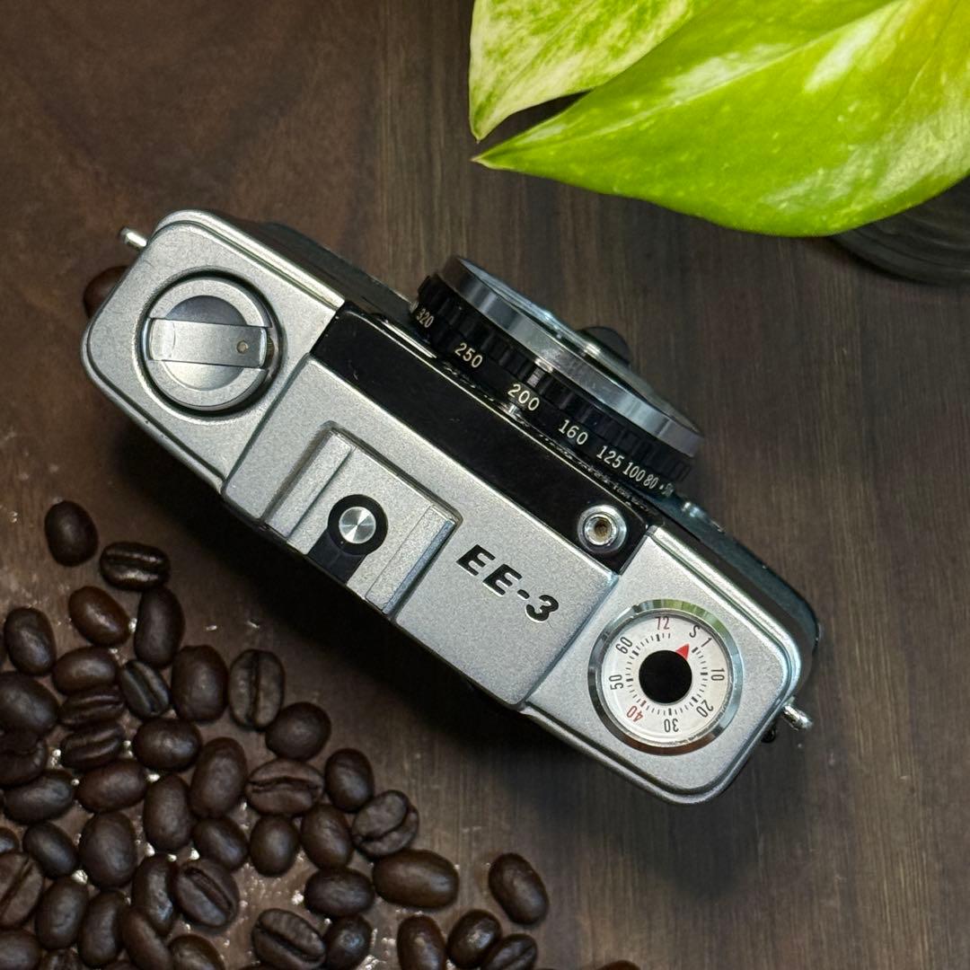 ✴️本日限定✴️シボ革グリーンレザー✴️実写・分解整備済✴️オリンパスPEN EE-3