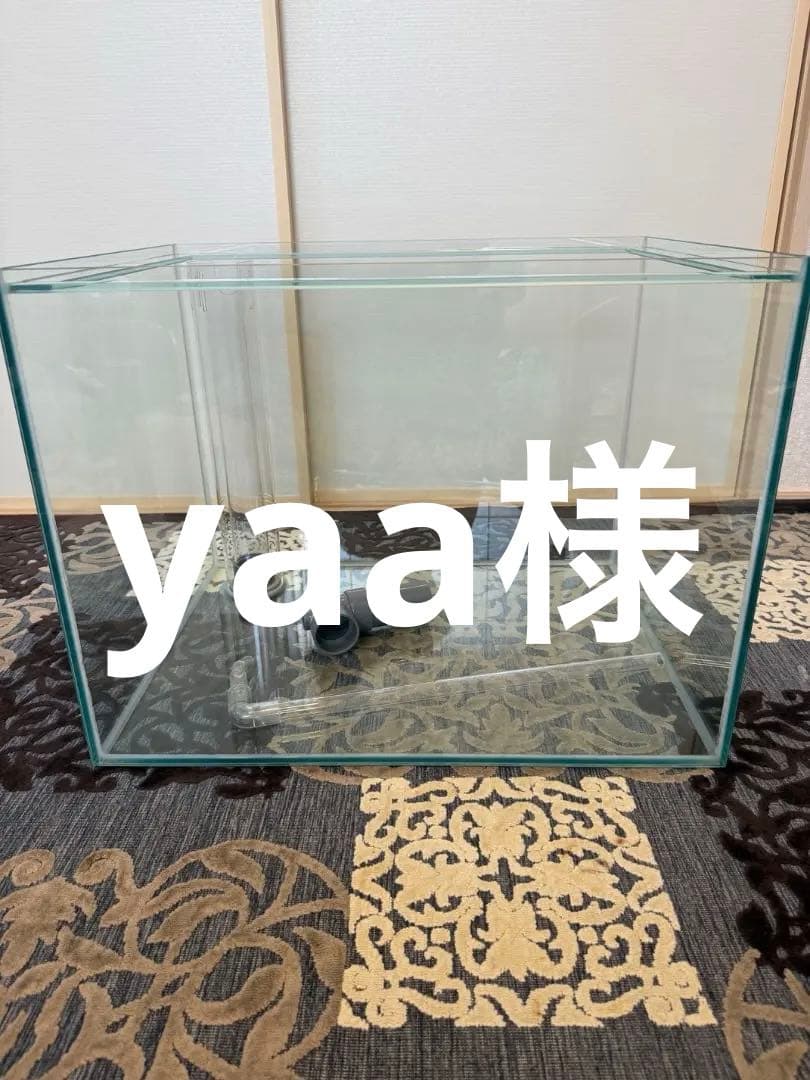 60.45.45オーバーフロー水槽 透明ガラス パイプ付き