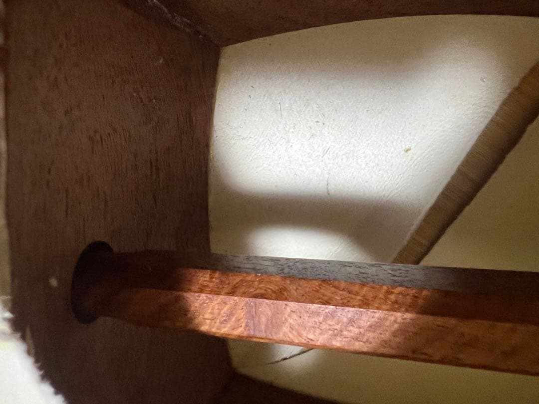 希少　白紅木　地歌用三弦　黒檀糸巻き　天然素材撥　ハードケース付き