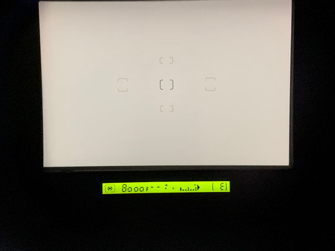 フィルムカメラ NIKON F5