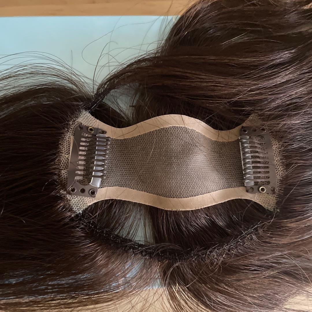 お値下げしました！ アートネイチャーJO エアリーウィッグ人毛100%