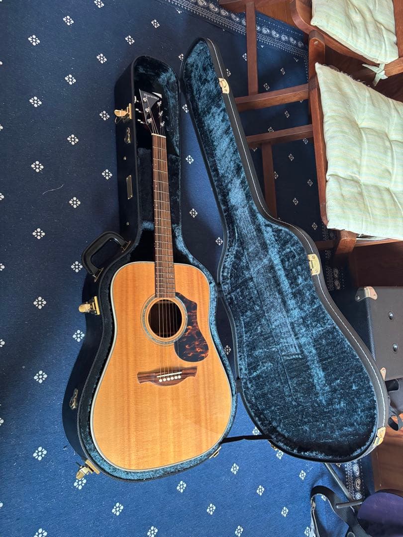 HISTORY NT-L3 ヒストリー　アコギ