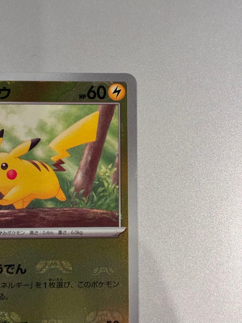 マスボピカチュウ