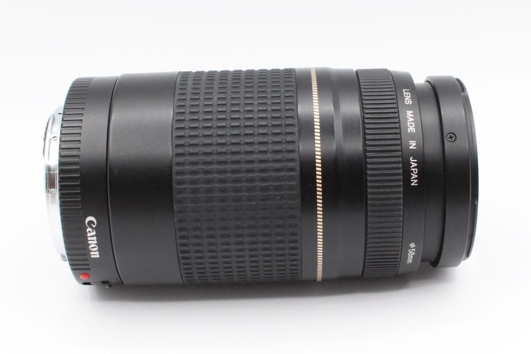 Canon EF 75-300mm F5.6 Ⅱ　定番望遠レンズ　即納OK