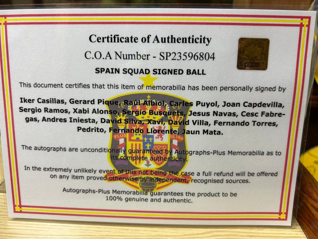 2010 FIFAワールドカップ スペイン代表 サインボール