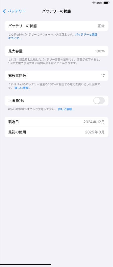 極上品iPad Air M3 256GB 11インチ Wifi