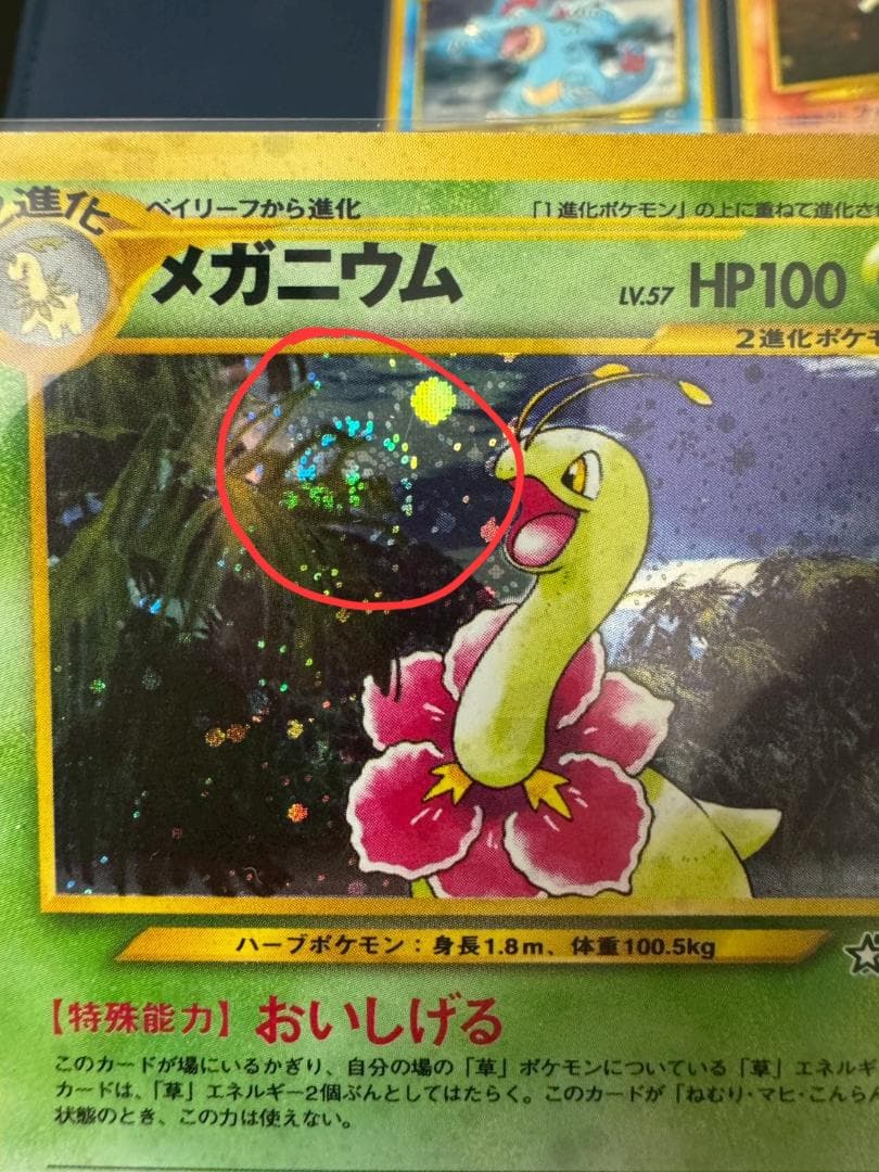 旧裏ネオ キラ ポケカ 8枚 まとめ売り