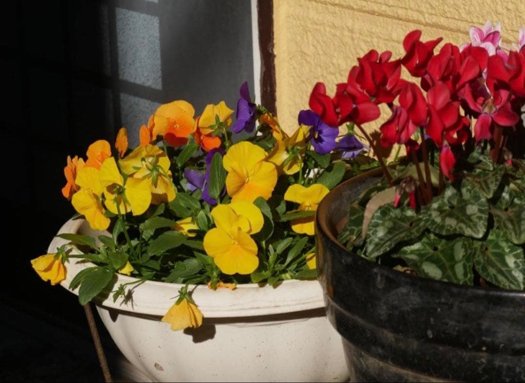 【訳あり】LUMIX G VARIO 14-140mm F3.5-5.6 Ⅱ型