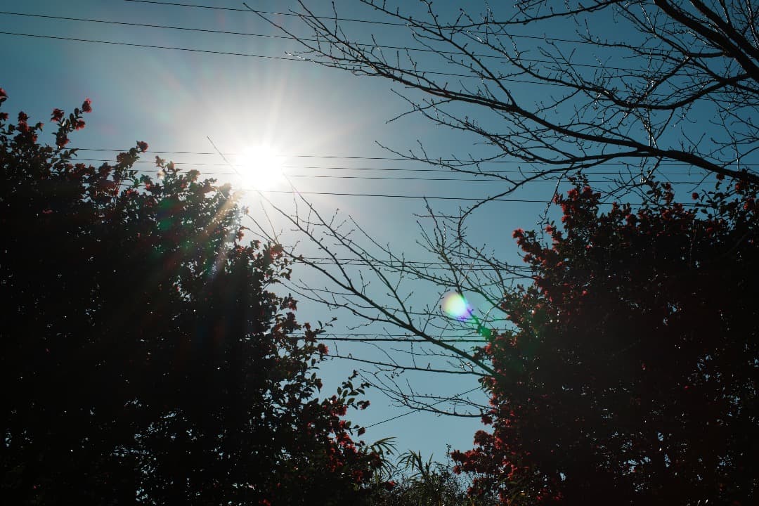 【整備＆テスト済】Nikon Ai Nikkor 50mm F1.2 874