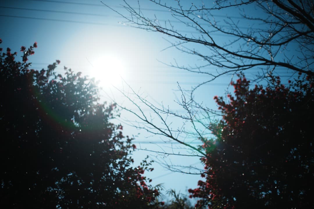 【整備＆テスト済】Nikon Ai Nikkor 50mm F1.2 874