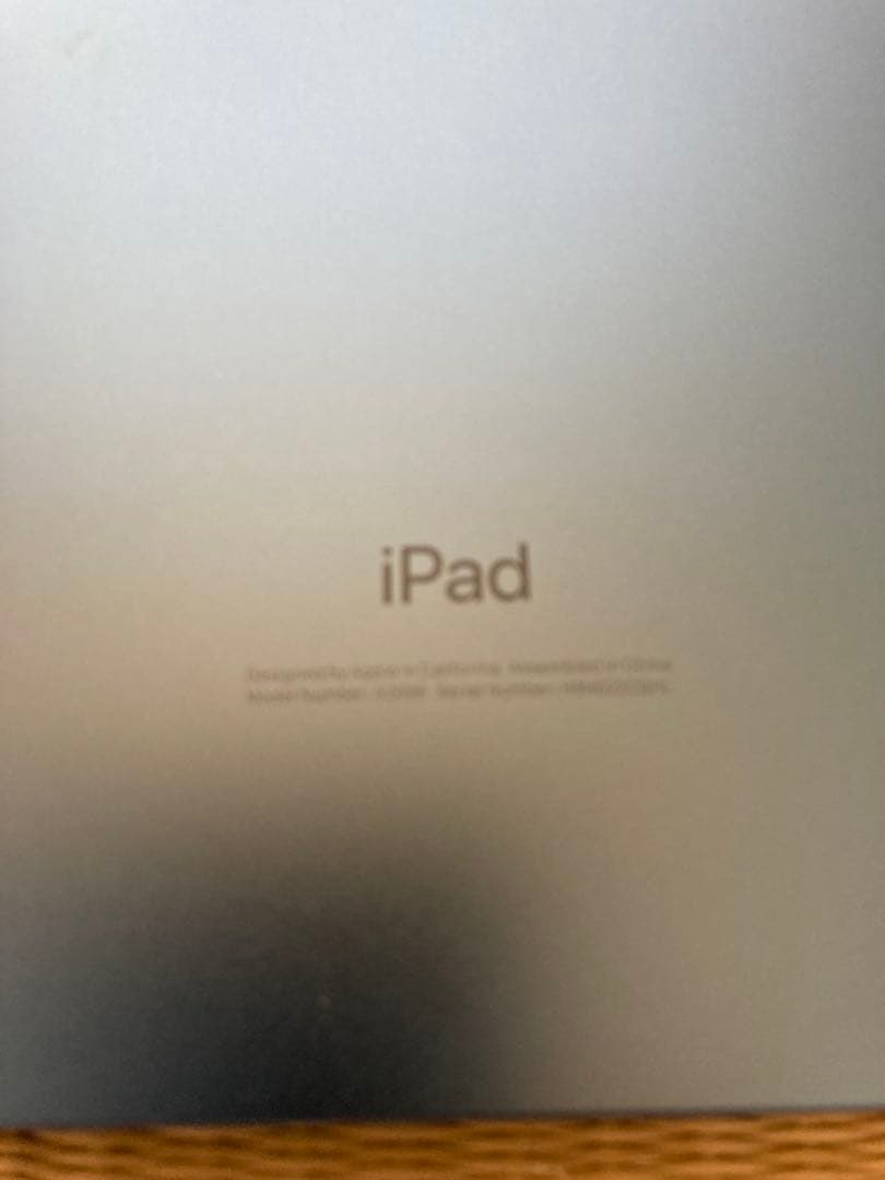 Apple iPad 第10世代　本体 ブルー