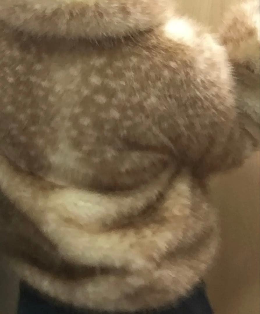 IVE レイ着用 バンビ柄 ファージャケット n.k atelier