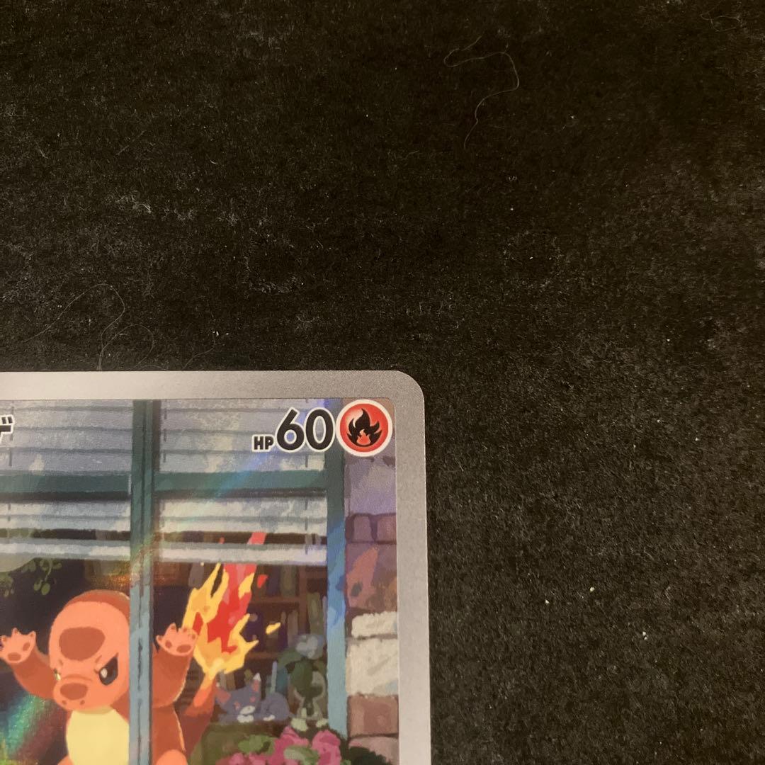 ヒトカゲ　SVG 051/049