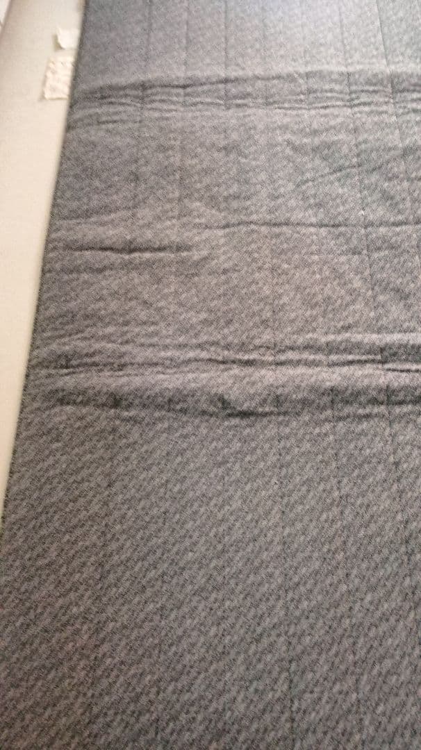 手渡し限定！尼崎！電位温熱マット　京都西川ローズテクニー 手渡し可