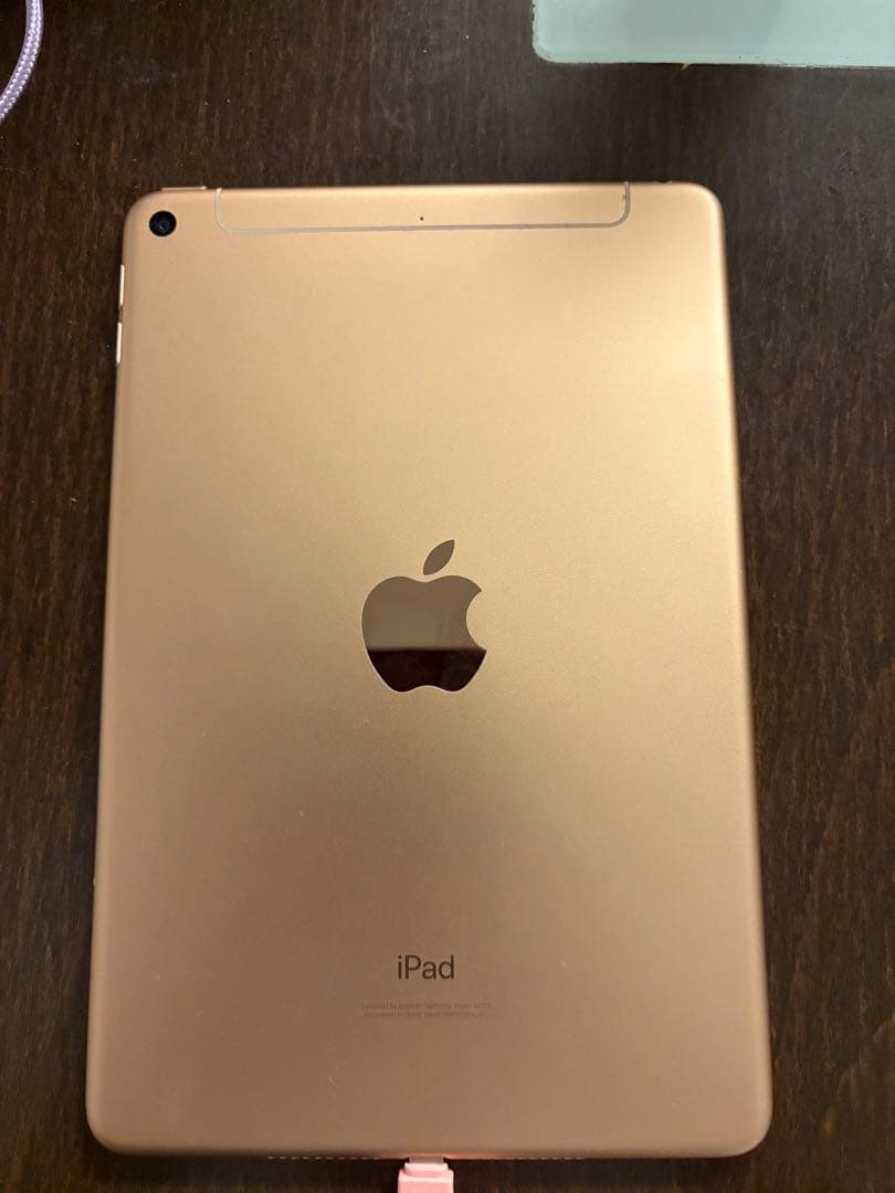 Apple iPad mini 256GB ゴールド 本体 第五世代